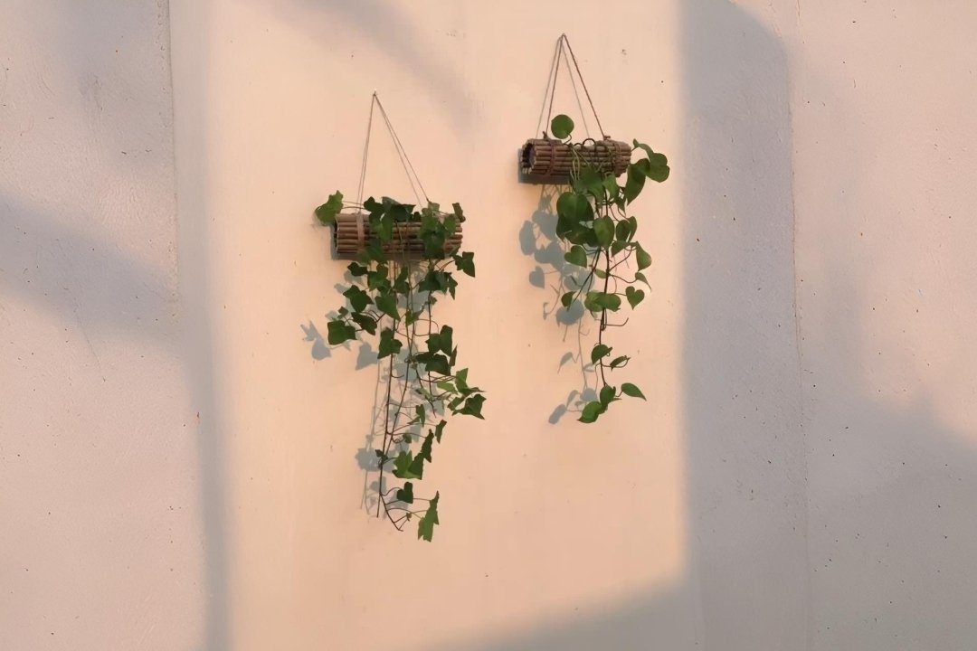 DIY Hanging Planter: Upcycle a Plastic Bottle and Sticks